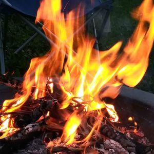 Meet your Posher, Sheri